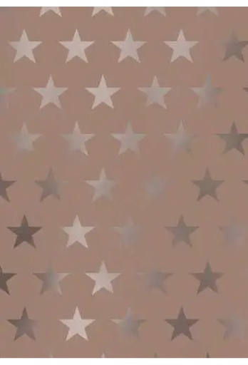 [1050953] Kerstpapier Metallic Etoile Rose & Goud 30cm x 100meter